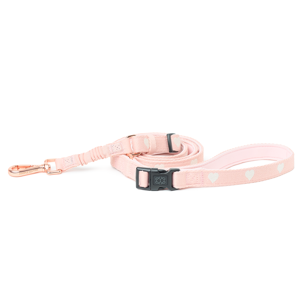 Dogistry 3-in-1 City Dog Leash — Sweetheart