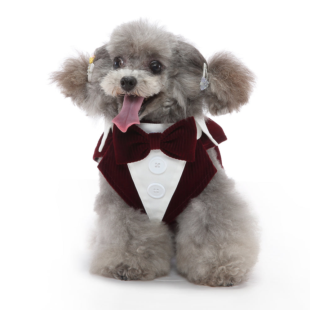 The Black Tie Tuxedo