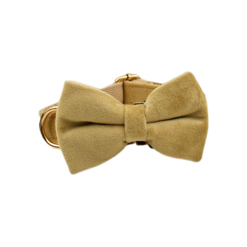 Velvet Luxe Dog Collar – Signature Edition