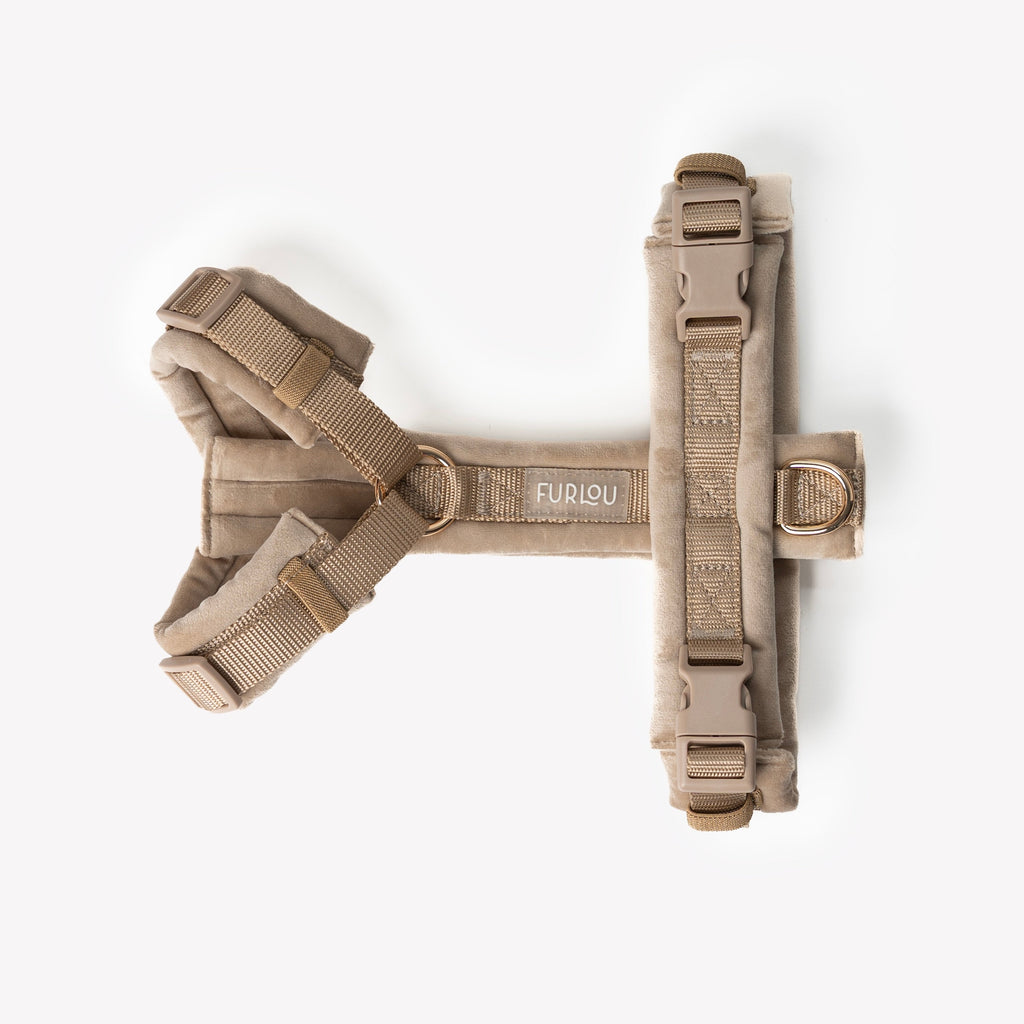 The Sand Dune Velvet Harness