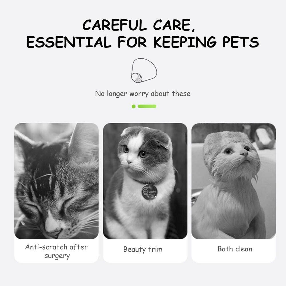 The Flauntly Paws Recovery Collar — Soft Elizabethan Cone for Cats & Kittens