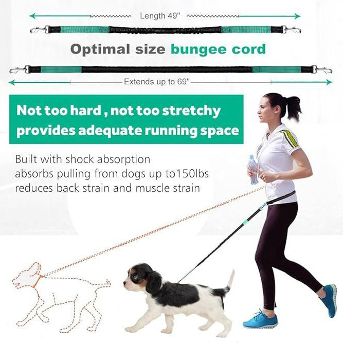 Reflective Running Leash Set with Waist Bag