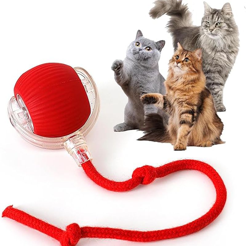 Smart Interactive Cat Ball Toy | Auto-Rolling, Obstacle-Avoiding & USB Rechargeable | 3 Speed Modes