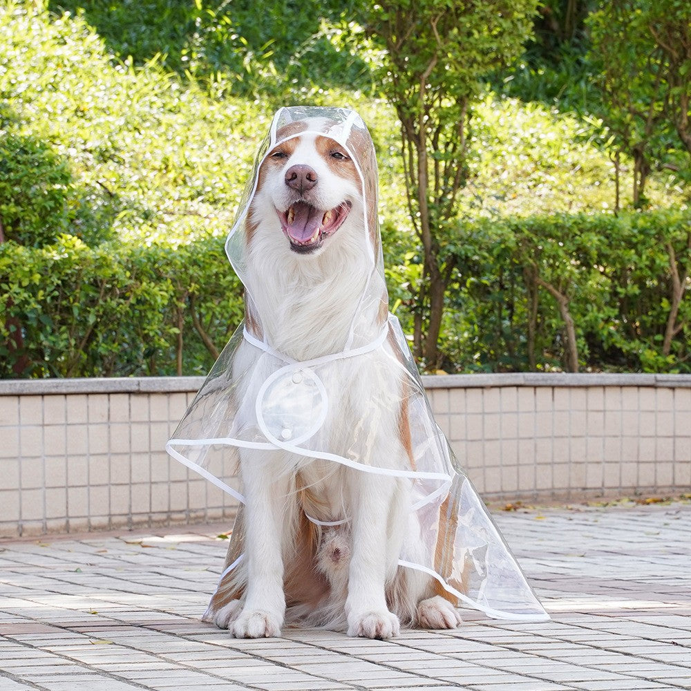 Flauntly Paws Clear Rain Jacket for Dogs