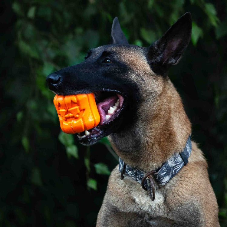SodaPup Jack-O'-Lantern eDispenser — Halloween Chew Toy & Treat Dispenser for Large Dogs