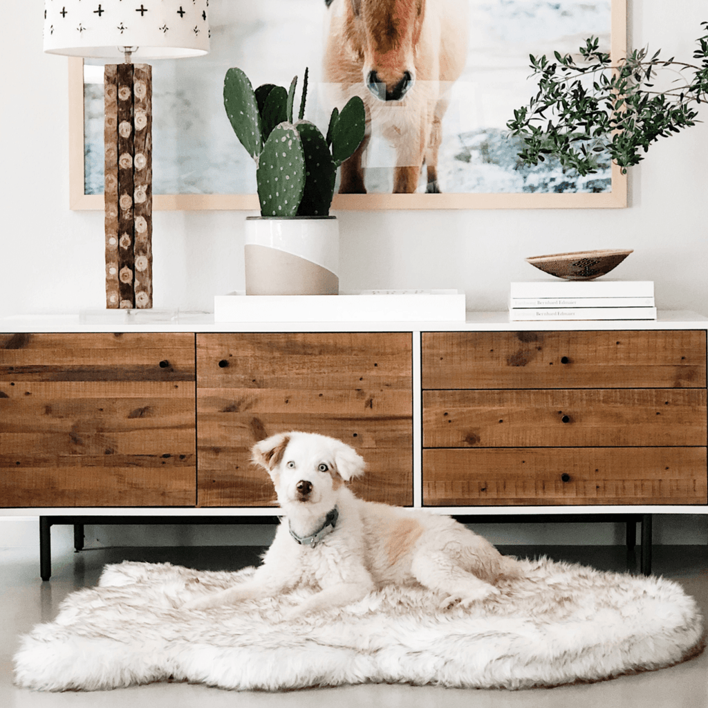 PupRug® Faux Fur Orthopedic Dog Bed | Curve White with Brown Accents