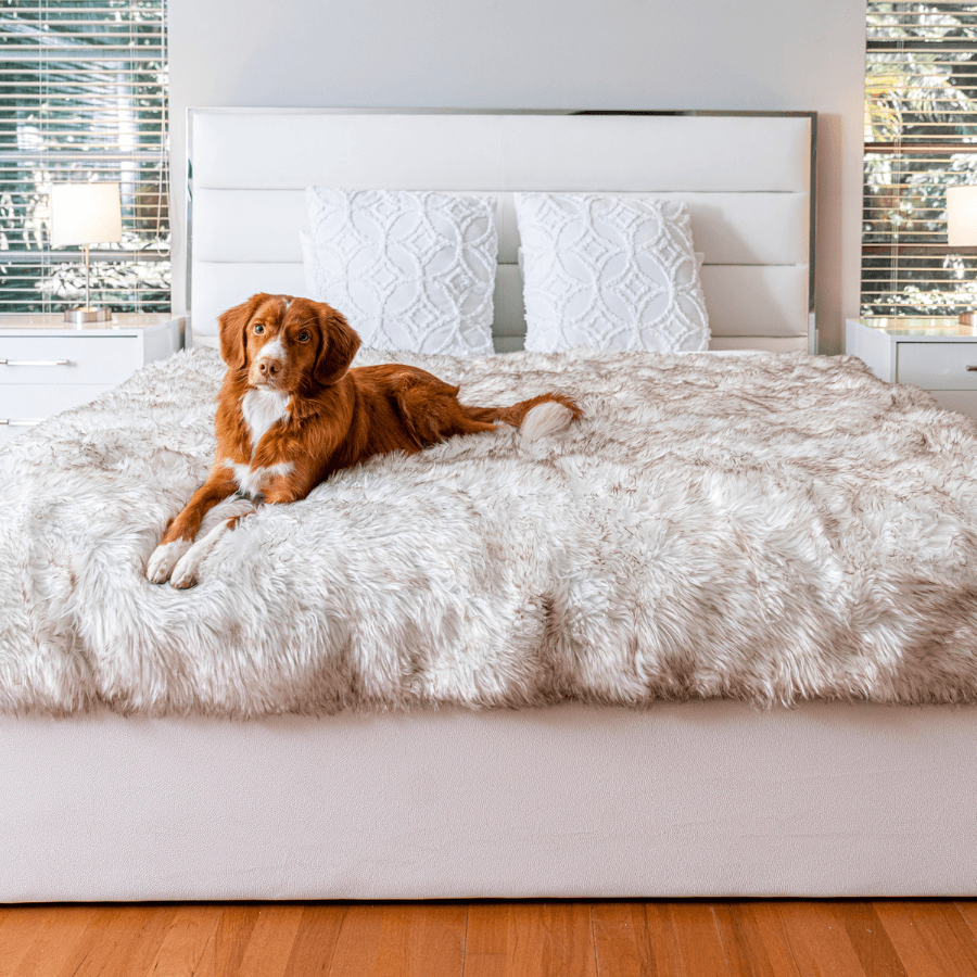 PupProtector™ Waterproof Throw Blanket | White with Brown Accents