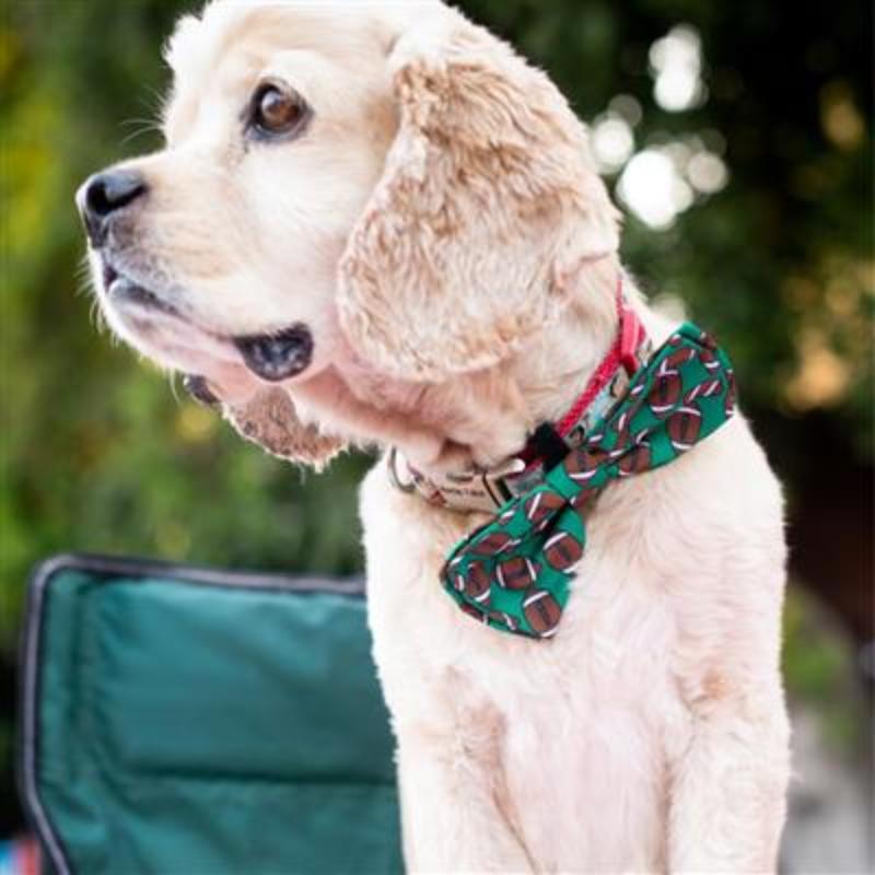 Football Print Dog Bow Tie — Game Day Pet Collar Accessory in Green (SM, LG, XL)