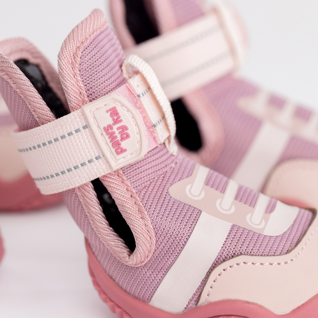 The Kai- Dog Sneaker