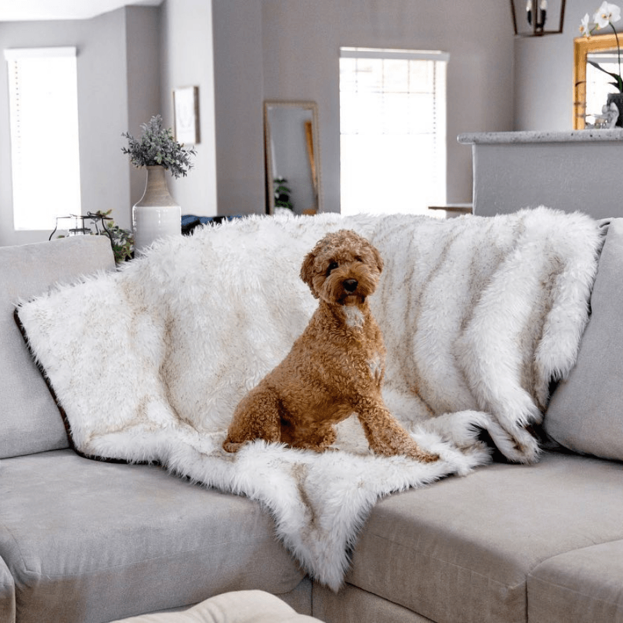 PupProtector™ Waterproof Throw Blanket | White with Brown Accents