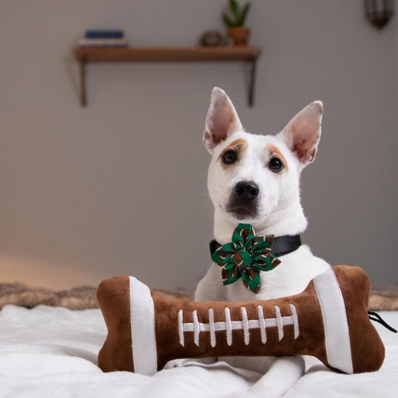 Football Bone Plush Squeaky Dog Toy — Durable Power Plush with Reinforced Seams (SM & LG)