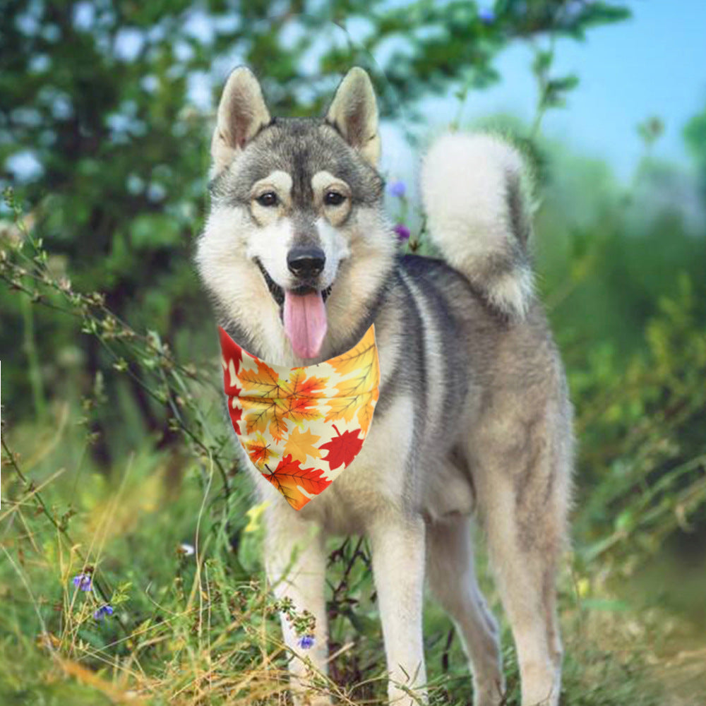 Thanksgiving Pet Bandana | Turkey & Fall Harvest Styles