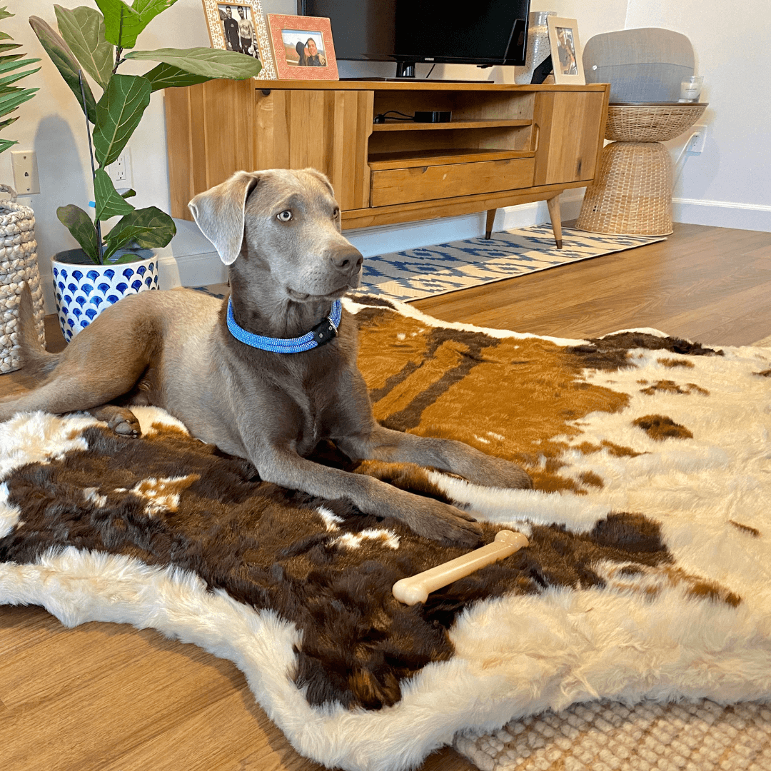 PupRug® Faux Cowhide Orthopedic Memory Foam Dog Bed — Brown
