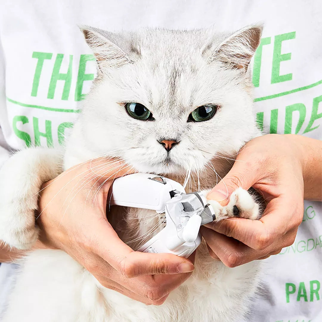 LED Pet Nail Clipper with Built-In Light | Dogs & Cats