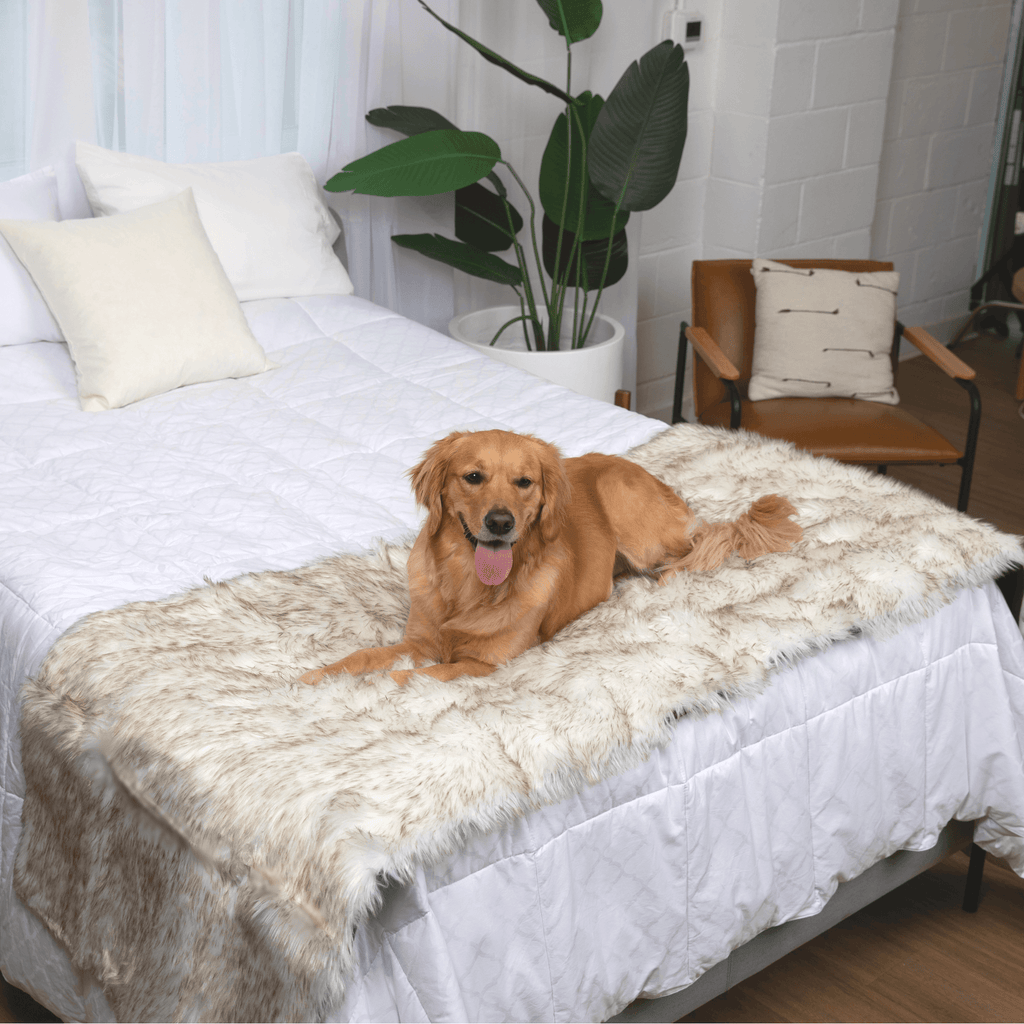 PupProtector™ Faux Fur Waterproof Bed Runner – White with Brown Accents