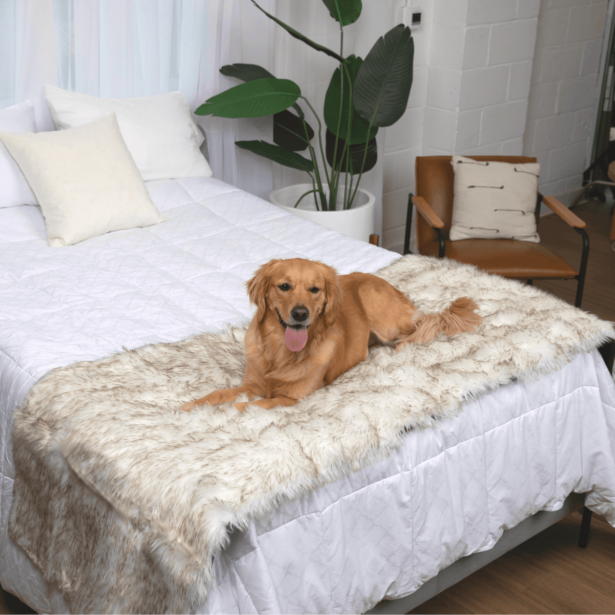 PupProtector™ Faux Fur Waterproof Bed Runner – White with Brown Accents