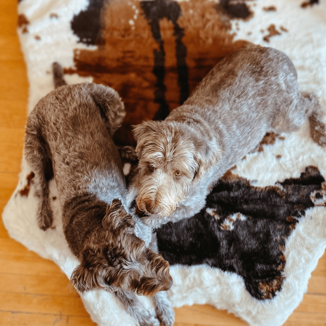 PupRug® Faux Cowhide Orthopedic Memory Foam Dog Bed — Brown