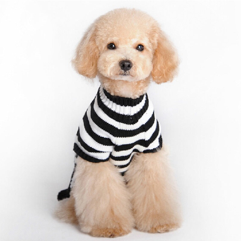 Skull Knit Dog Sweater | Halloween Style