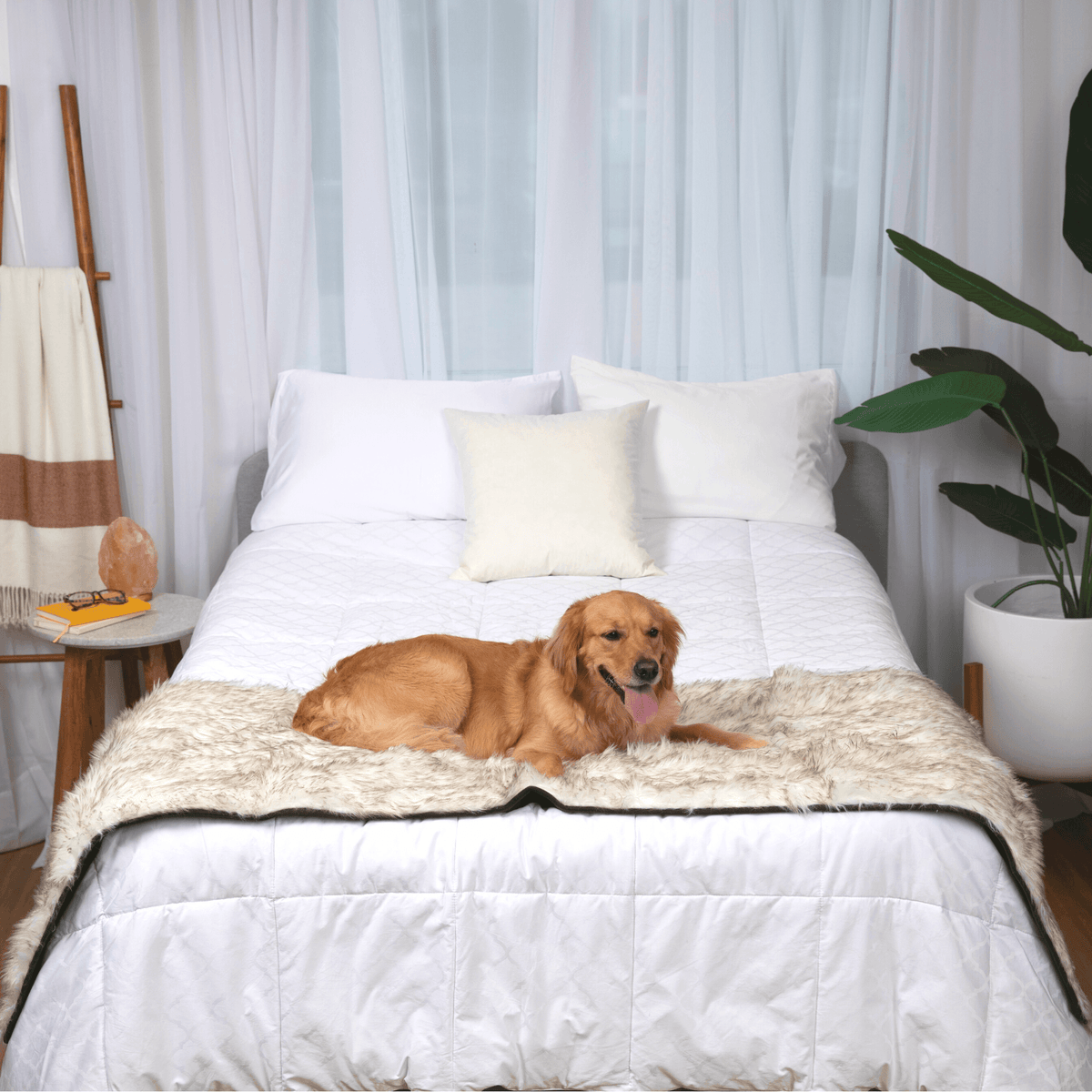 PupProtector™ Faux Fur Waterproof Bed Runner – White with Brown Accents
