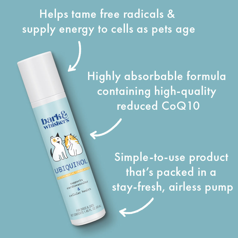 The Cellular Health Ubiquinol