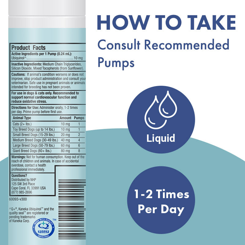 The Cellular Health Ubiquinol