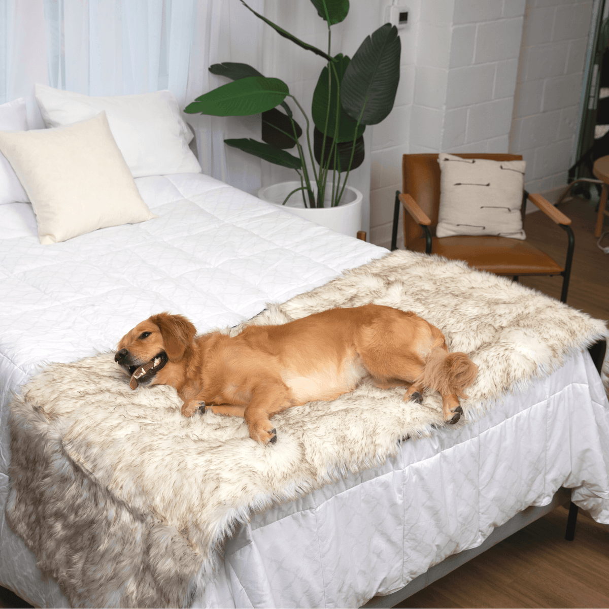 PupProtector™ Faux Fur Waterproof Bed Runner – White with Brown Accents