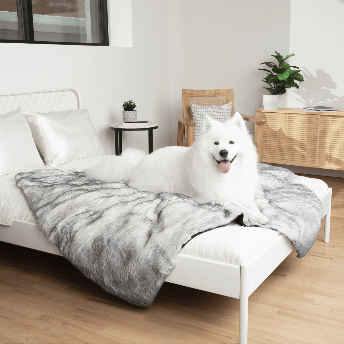 PupProtector™ Luxe Waterproof Faux Fur Blanket | Ultra Plush Arctic Fox