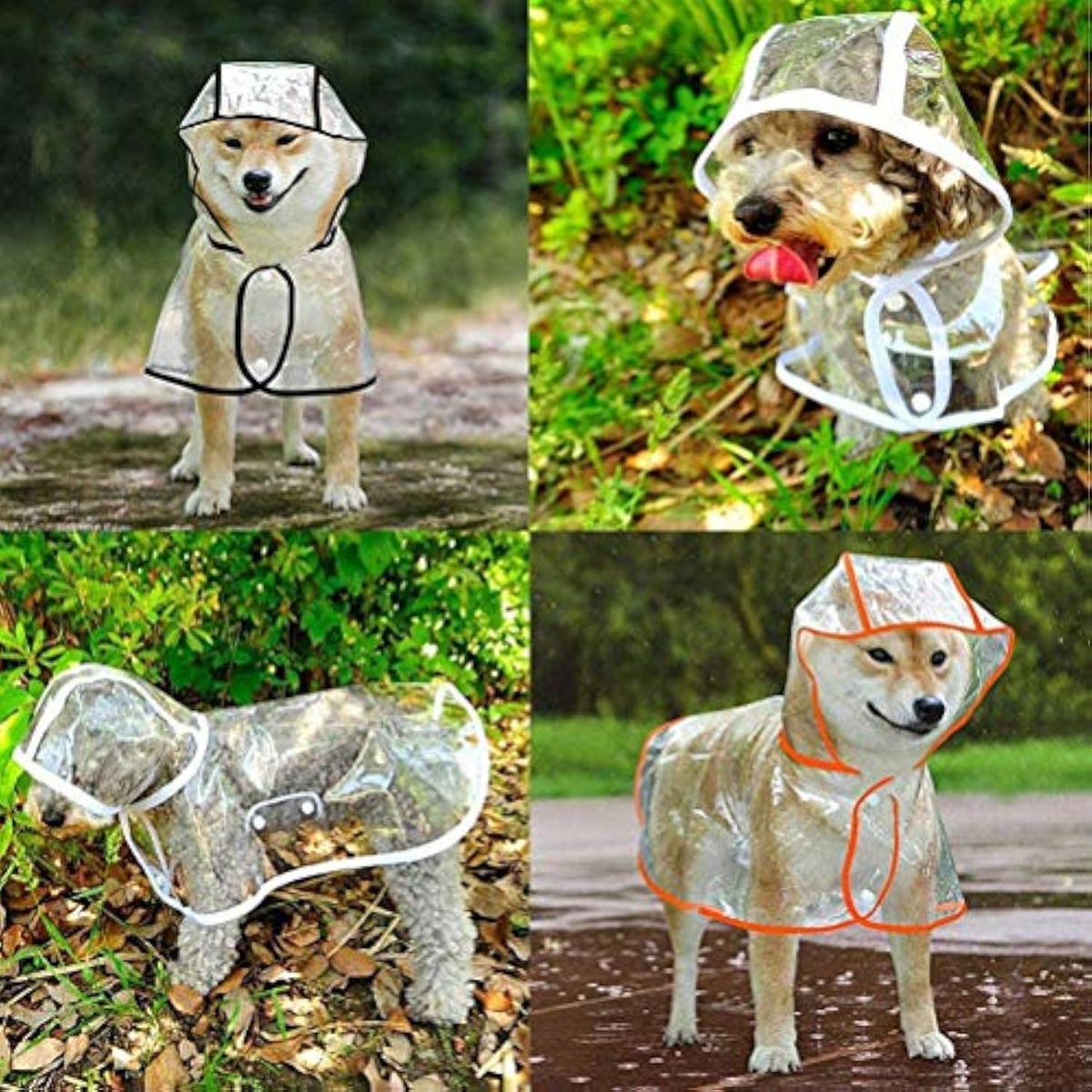 Flauntly Paws Clear Rain Jacket for Dogs