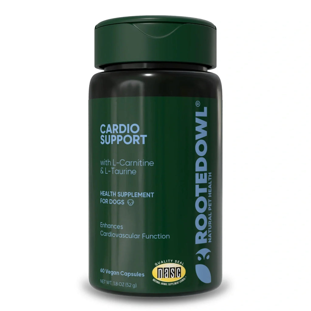 The Cardio Wellness Supplement