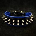 Bestia "Frenchie" Leather Dog Collar with Spikes