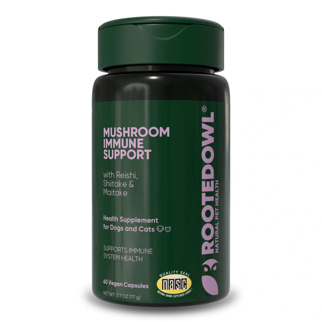 The Mushroom Immunity Blend