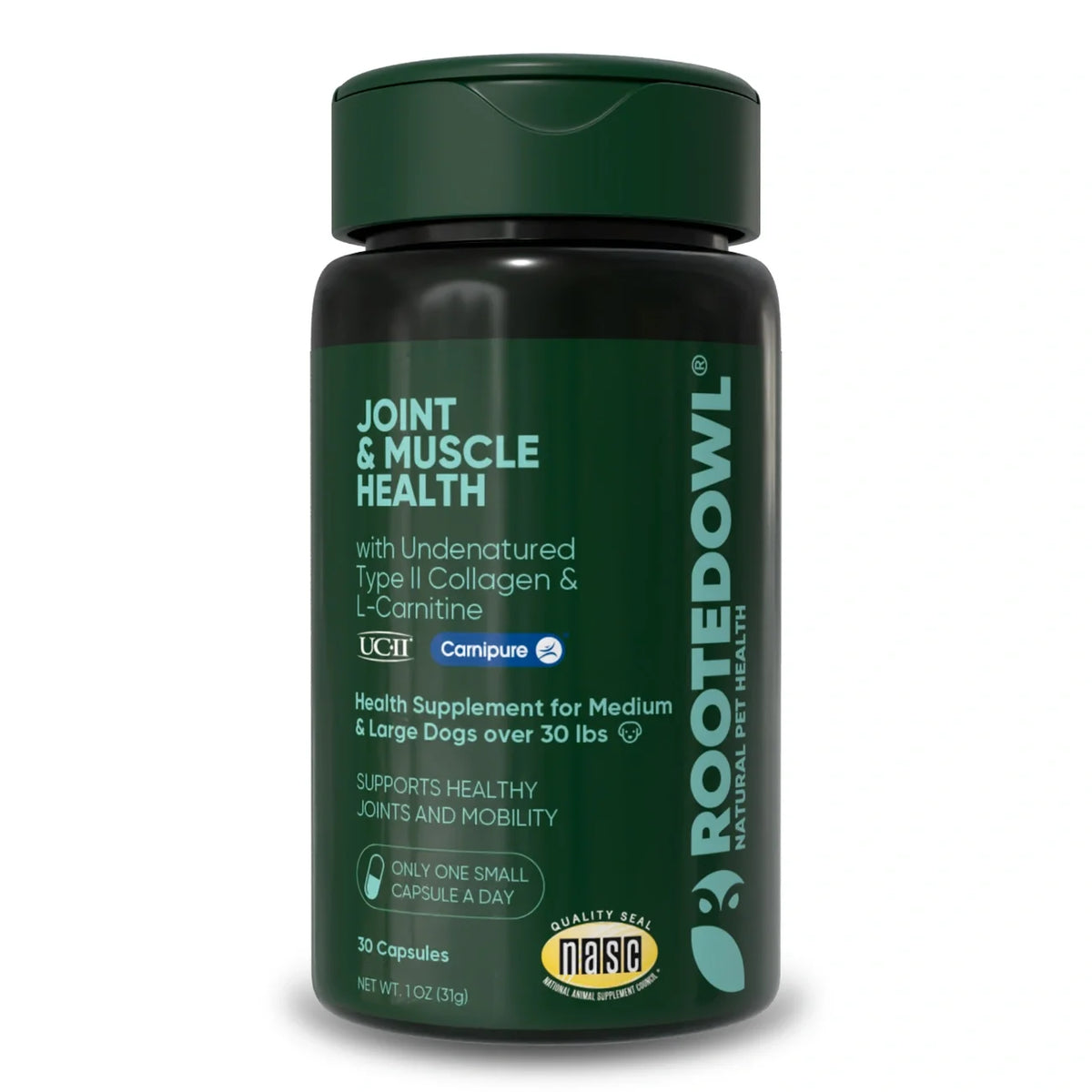 The Joint & Muscle Support