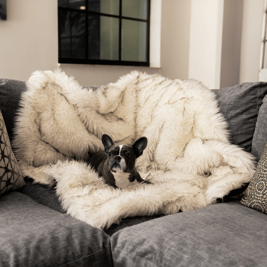 PupProtector™ Waterproof Throw Blanket | White with Brown Accents