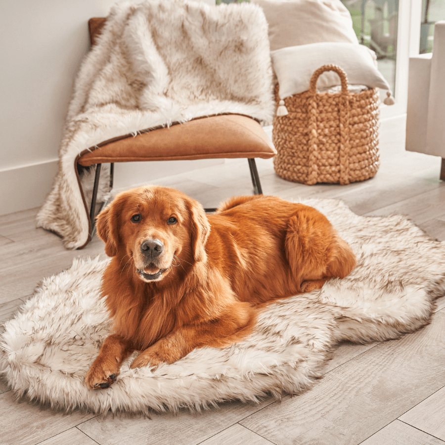 PupRug® Faux Fur Orthopedic Dog Bed | Curve White with Brown Accents