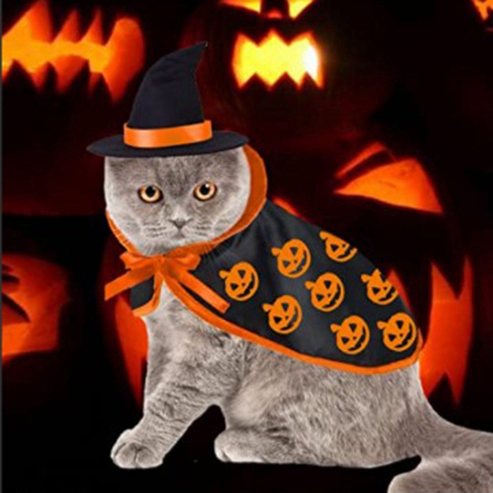 Halloween Cape & Hat Pet Costume Set