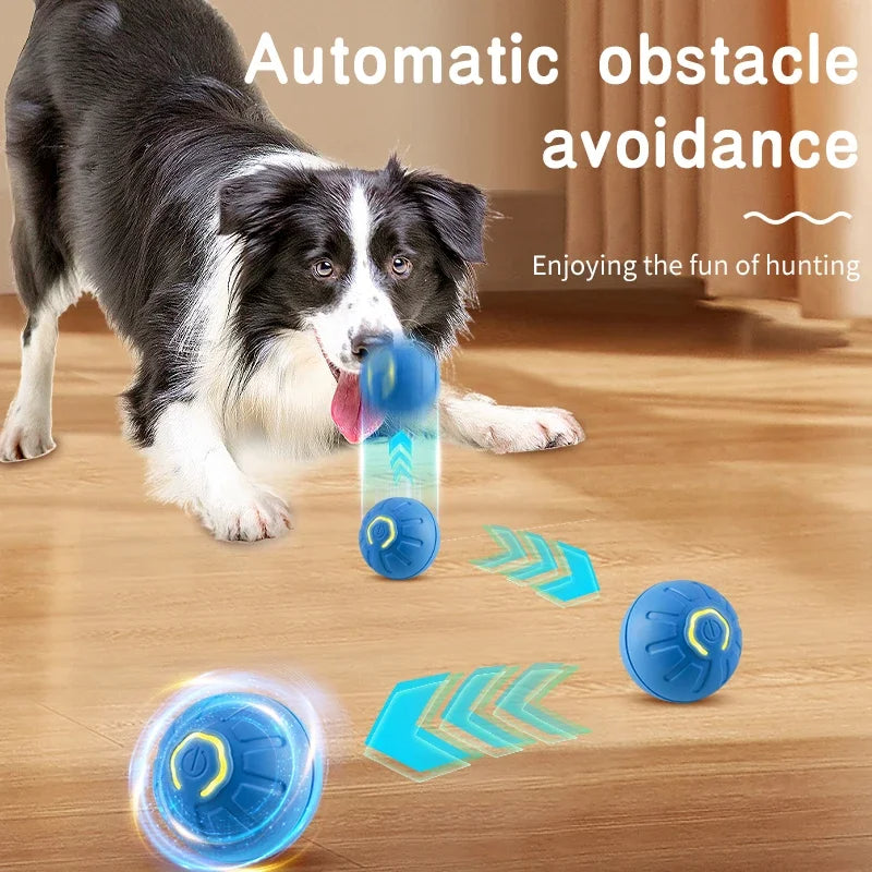 Smart Interactive Pet Toy Ball | Electronic Auto-Rolling & Jumping Ball | USB Rechargeable | Dogs & Cats