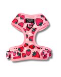 The Strawberry Fields Harness
