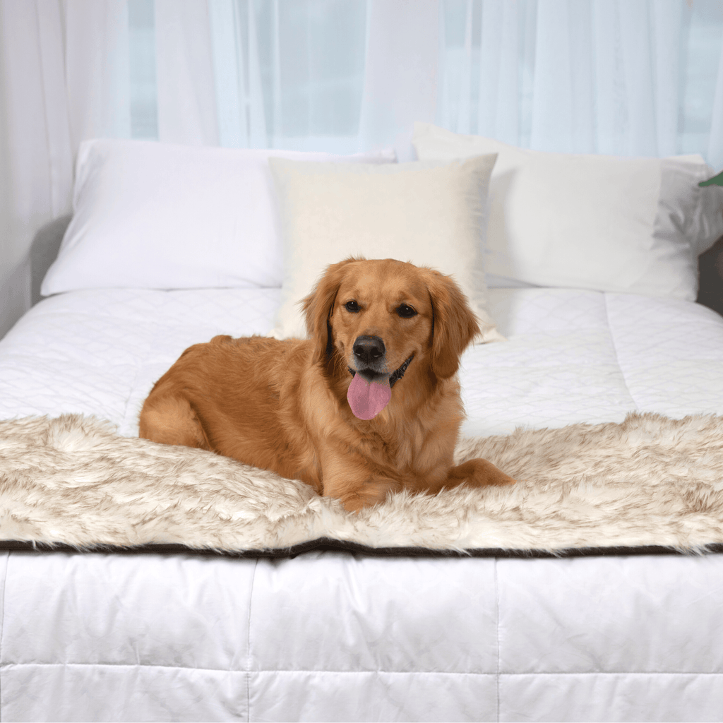 PupProtector™ Faux Fur Waterproof Bed Runner – White with Brown Accents