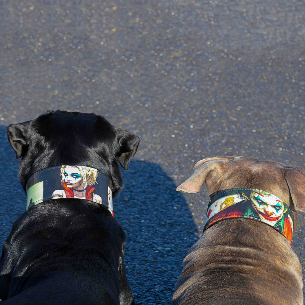 The “Harley” Limited Edition Collar by Bestia — Harley Quinn-Inspired