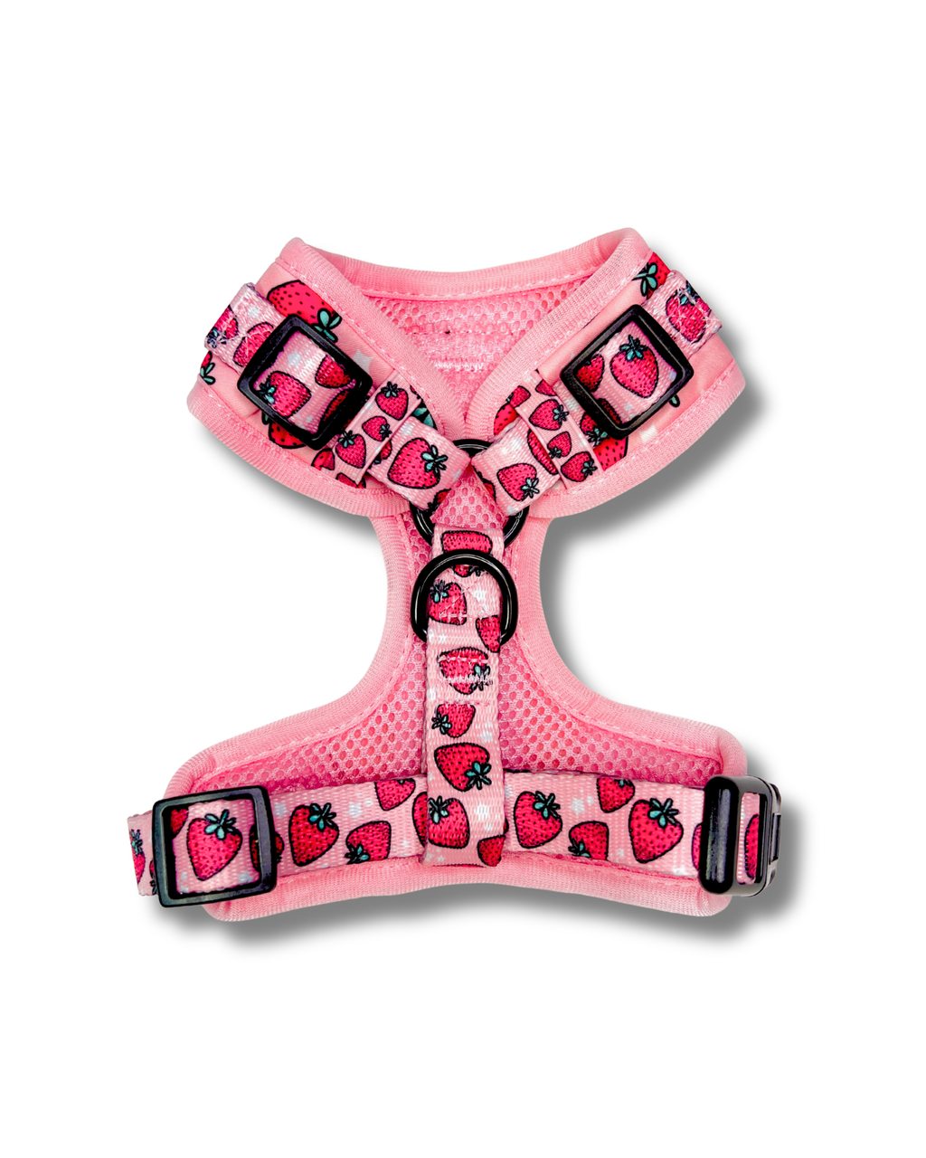 The Strawberry Fields Harness