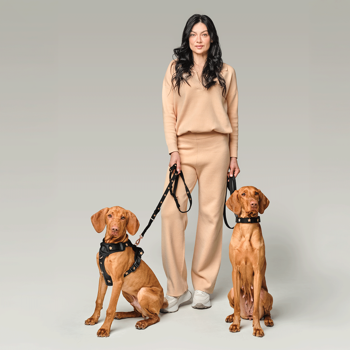 Dogistry 3-in-1 City Dog Leash — Rockstar