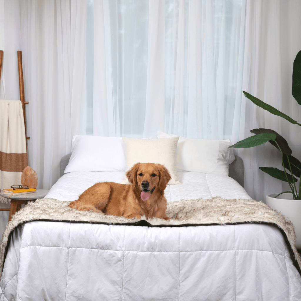 PupProtector™ Faux Fur Waterproof Bed Runner – White with Brown Accents