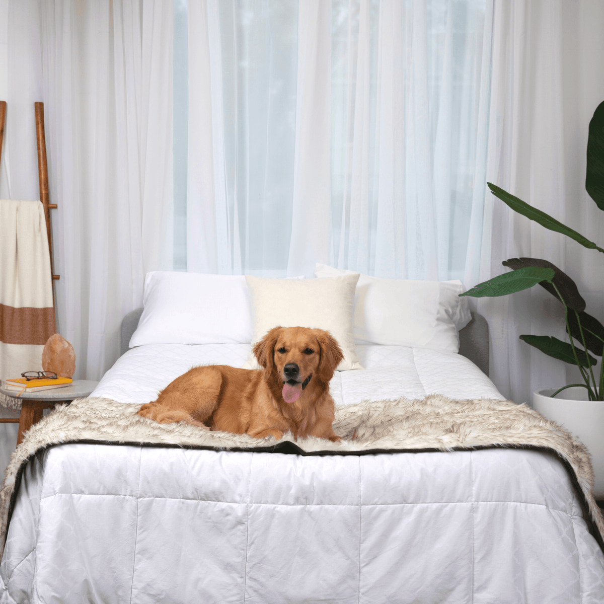 PupProtector™ Faux Fur Waterproof Bed Runner – White with Brown Accents