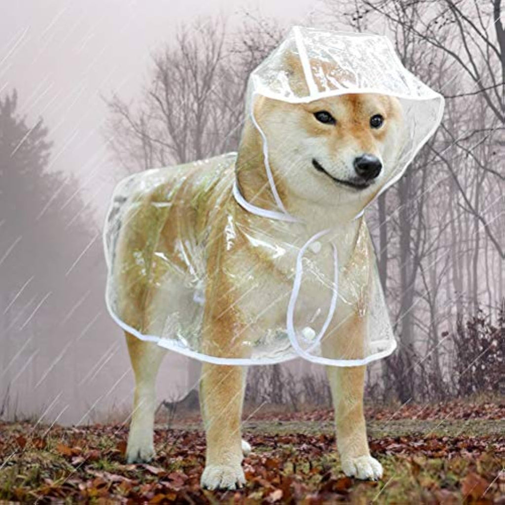 Flauntly Paws Clear Rain Jacket for Dogs