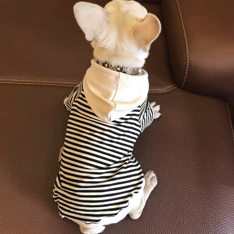Terry Crewneck Sweater — Matching Pet & Owner Set