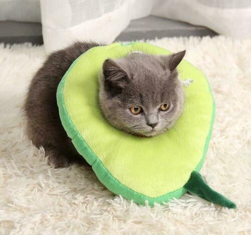 The Flauntly Paws Recovery Collar — Soft Elizabethan Cone for Cats & Kittens
