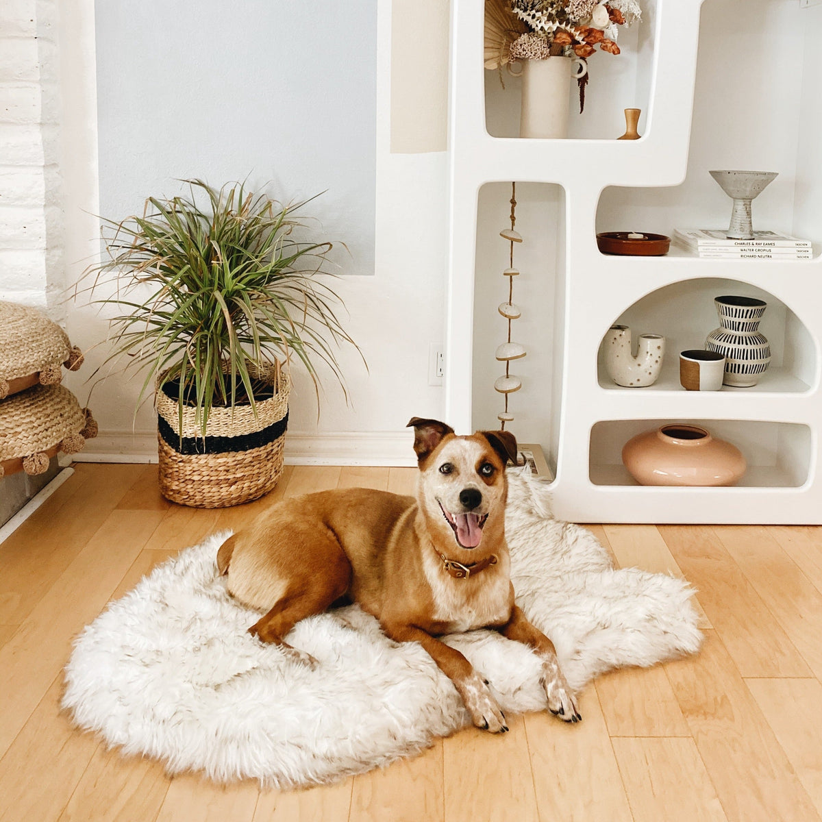 PupRug® Faux Fur Orthopedic Dog Bed | Curve White with Brown Accents