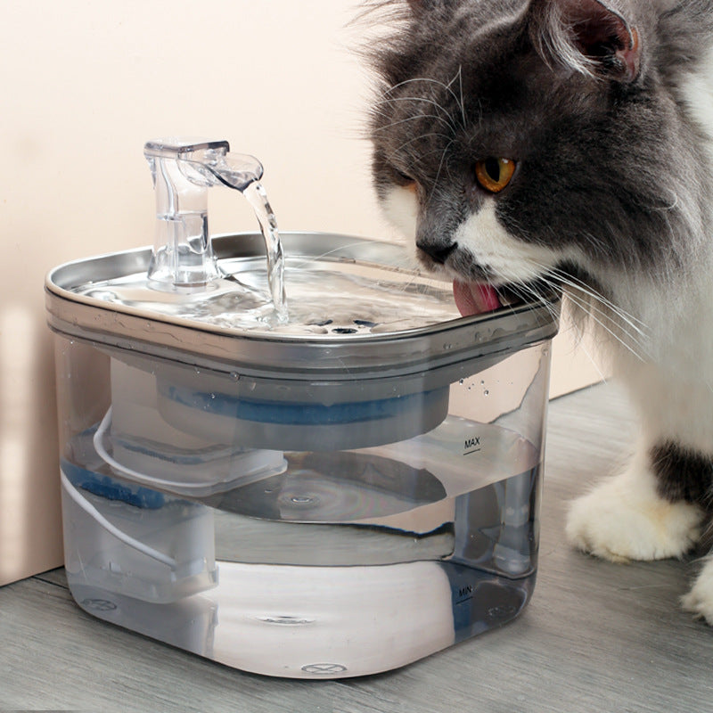 Stainless Steel Pet Water Fountain | Auto-Circulating | Dogs & Cats