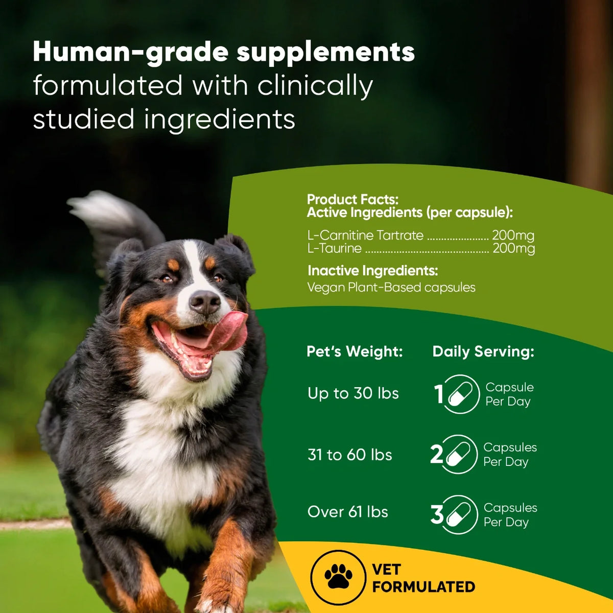 The Cardio Wellness Supplement