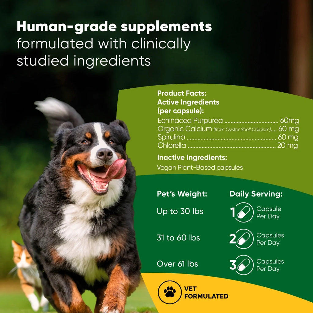 The Spirulina & Chlorella Blend